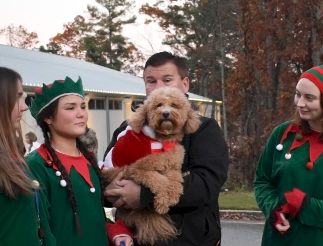 A person holds a dog in a Santa outfit, surrounded by three people dressed as elves outdoors.
