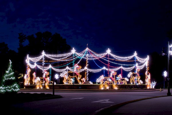 A festive outdoor display featuring illuminated reindeer and sleighs with string lights and decorations at night.