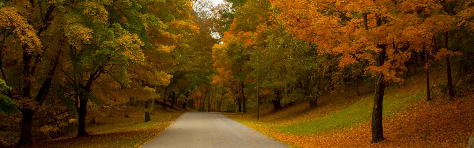 A road flanked by trees with vibrant autumn foliage in shades of orange and yellow, creating a picturesque fall scene.