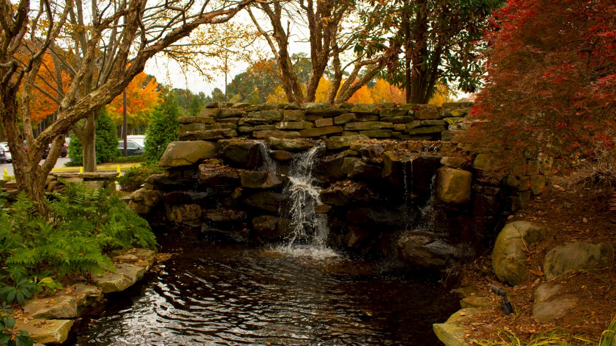 A small waterfall flows over rocks into a pond surrounded by trees with autumn leaves and lush greenery, creating a serene nature scene.