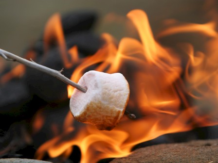 A marshmallow being roasted over an open flame, held on a stick with flames in the background.