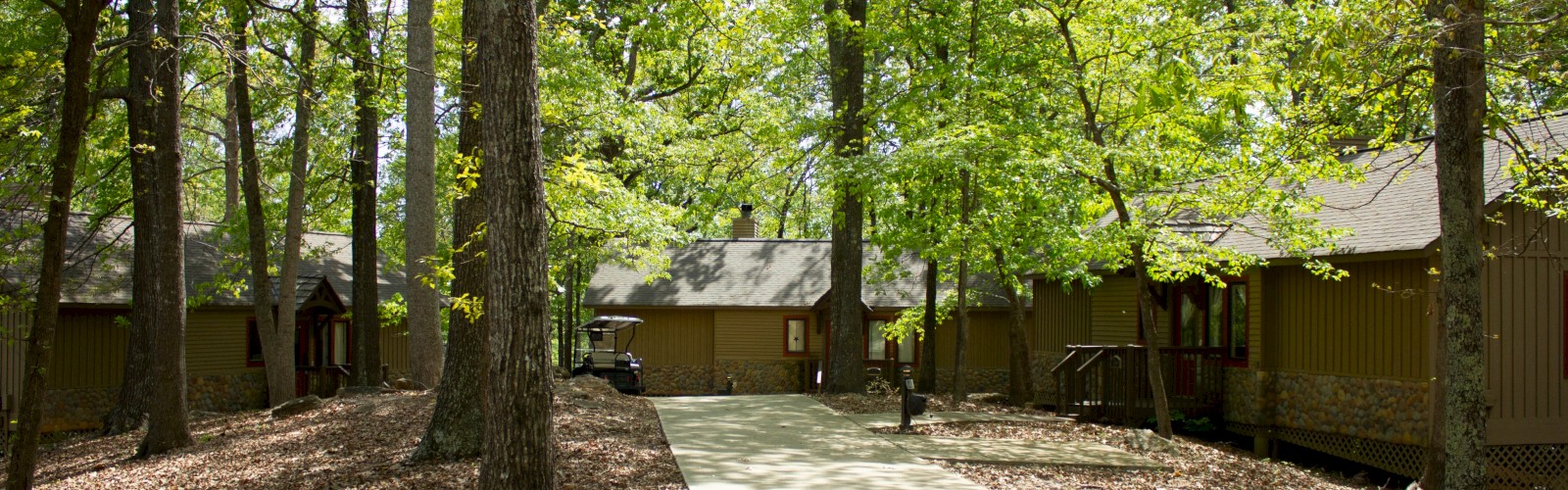 A paved path surrounded by trees leads to wooden cabins in a forest setting, with lush green foliage and scattered leaves on the ground.