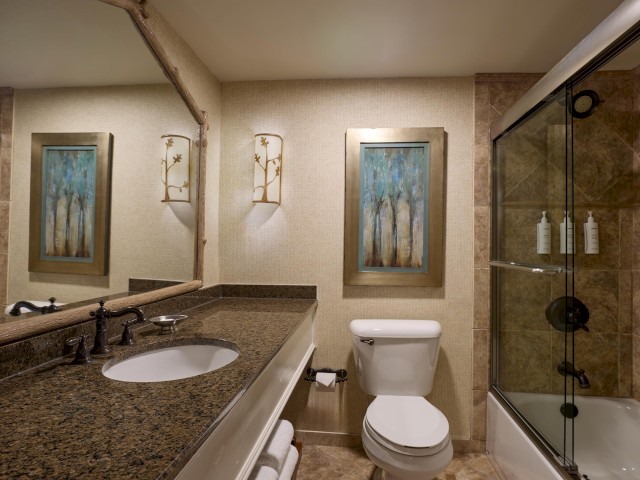 The image shows a bathroom with a granite countertop, sink, toilet, and shower. Two framed artworks and wall lights decorate the space.