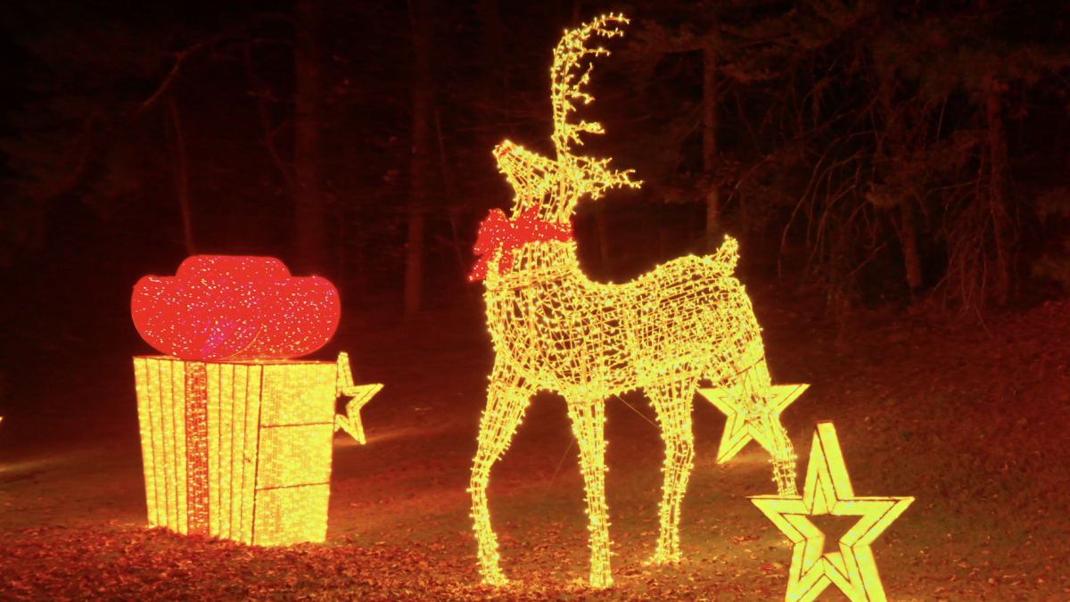 A glowing display with a reindeer, a large gift box, and stars made of lights in a dark outdoor setting.
