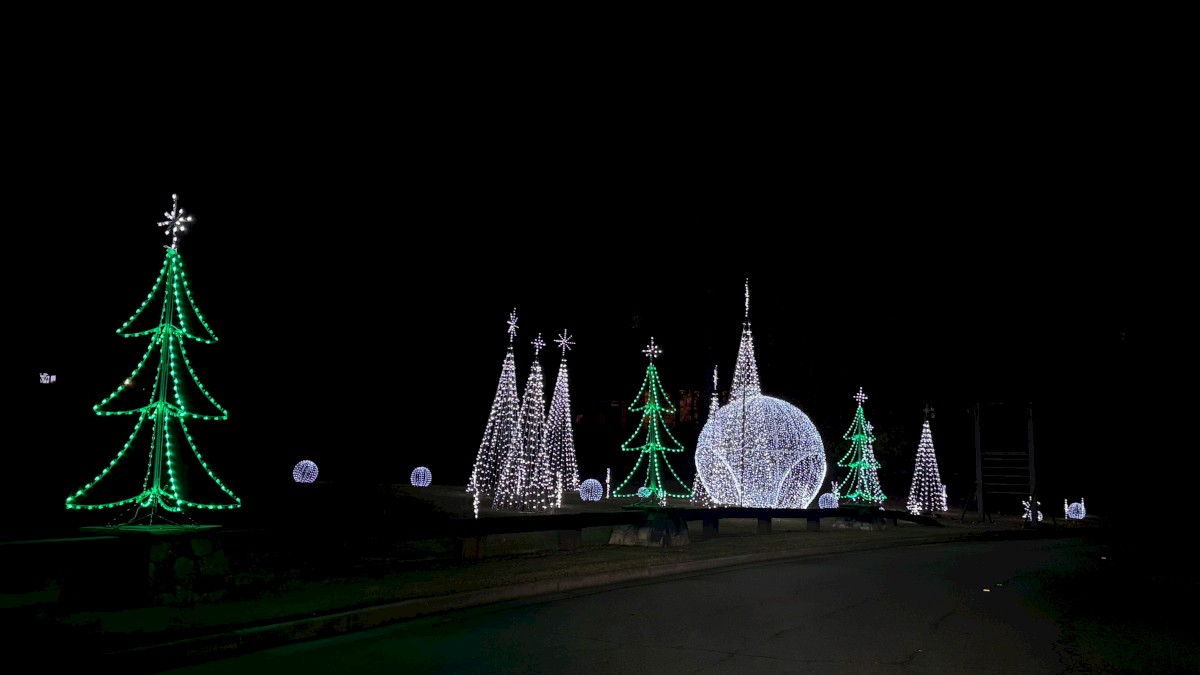 A nighttime display of holiday lights along a path, featuring illuminated green Christmas trees and a large glowing sphere, all against a dark sky.