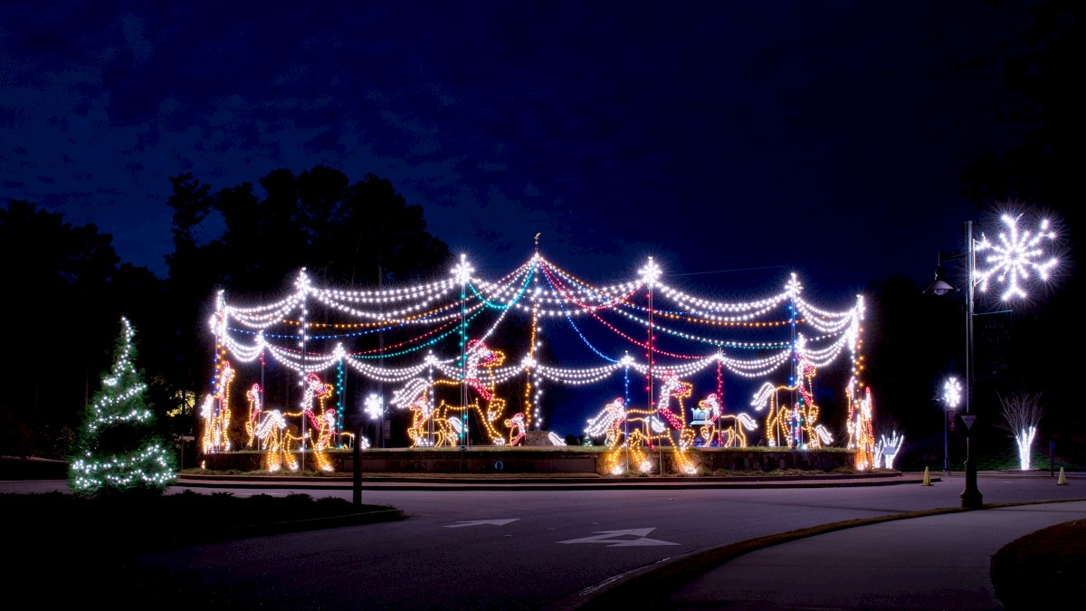 The image shows a festive light display featuring reindeer, sleighs, and strings of lights in a circular arrangement, set against a dark sky.