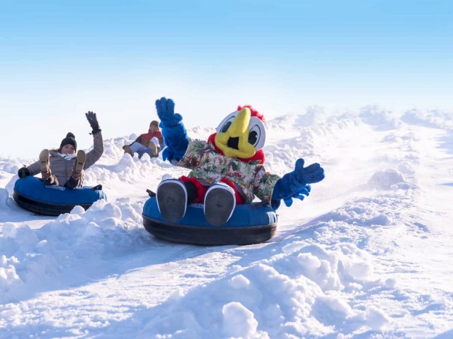 People riding snow tubes down a snowy slope, with one person in a bird costume leading the way, raising their hands in excitement.