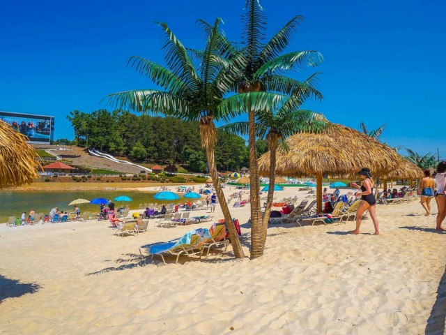 The image shows a lively beach scene with umbrellas, palm trees, people relaxing, and a bright blue sky.