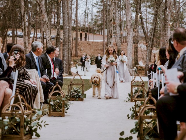 A wedding ceremony outdoors, with a woman walking a dog down the aisle as guests seated on both sides watch.