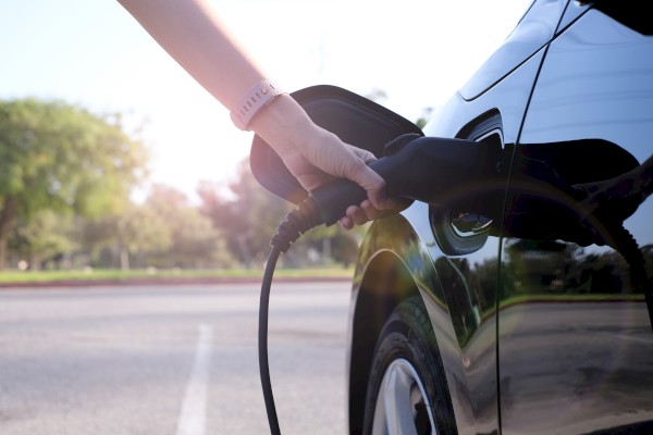 A person is plugging a charger into an electric car in a parking lot with trees visible in the background.