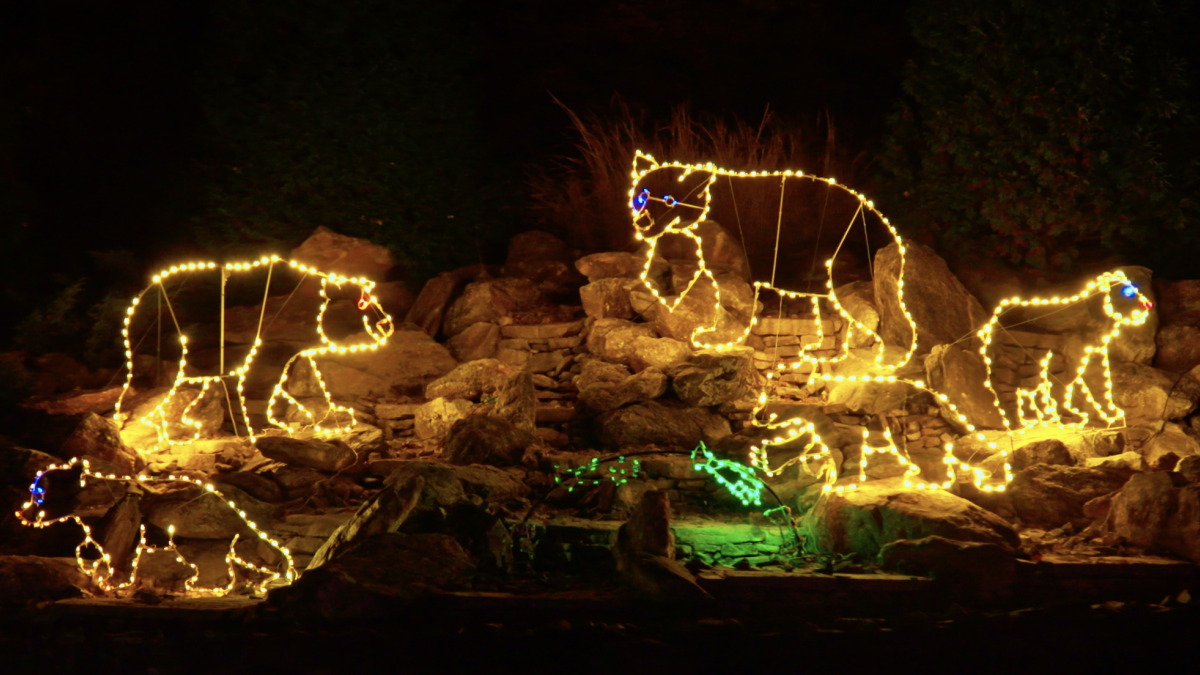 Three glowing bear outlines (adult, cubs) formed from string lights roam among rocks at night. The display includes several amber-lit bears of different sizes.