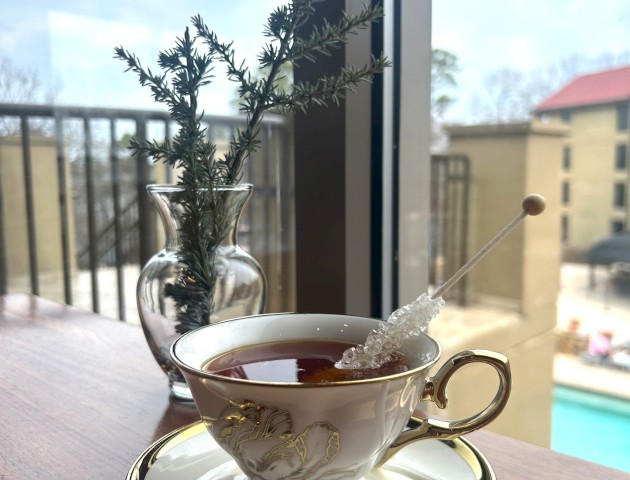 A delicate teacup and saucer on a wooden table by a window, with a teabag and a small spoon; a vase with greenery in the background.
