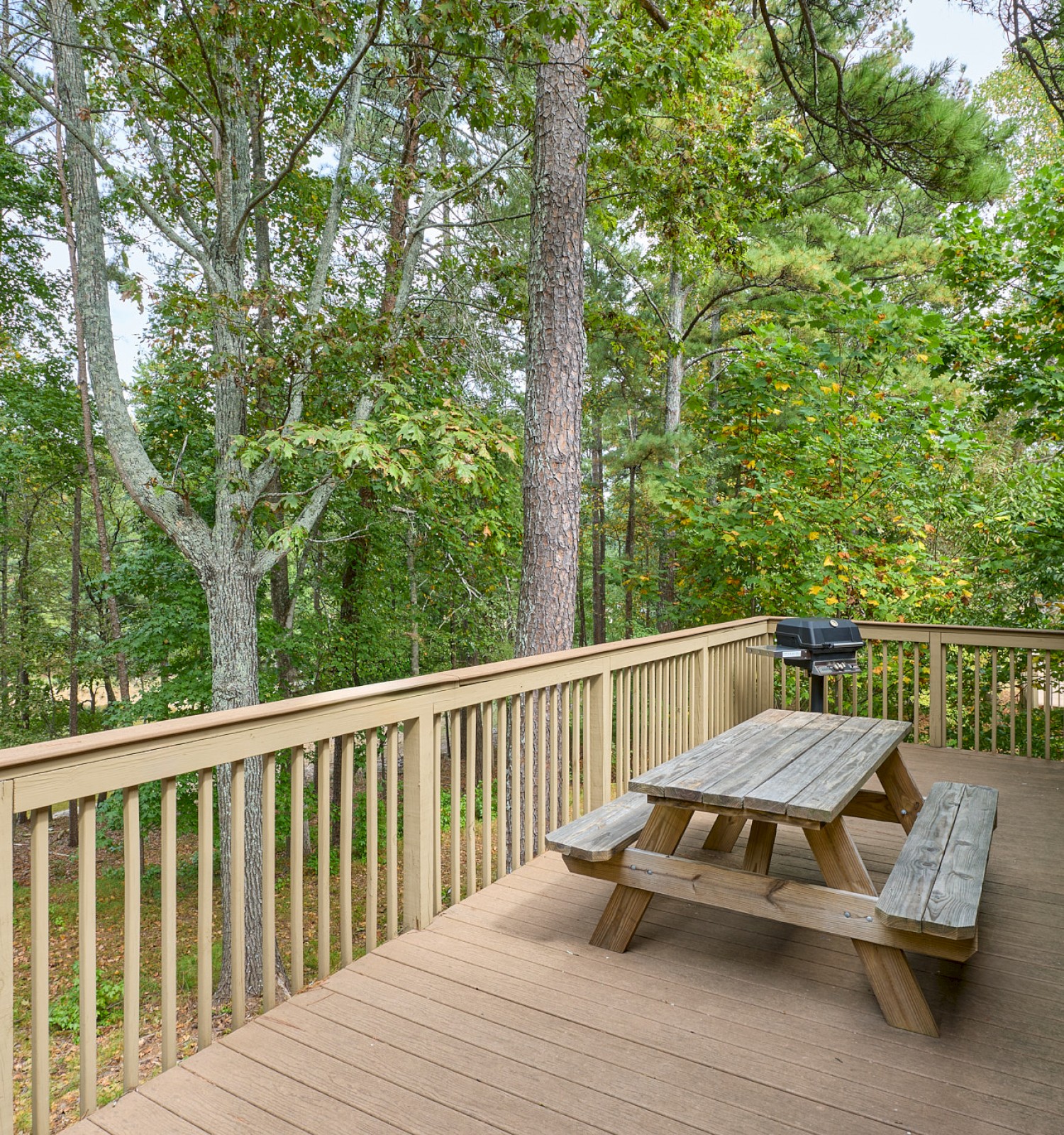 A wooden deck with a picnic table and a grill, overlooking a lush, green forest with tall trees and dense foliage.