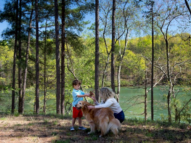 Pet Friendly Resort