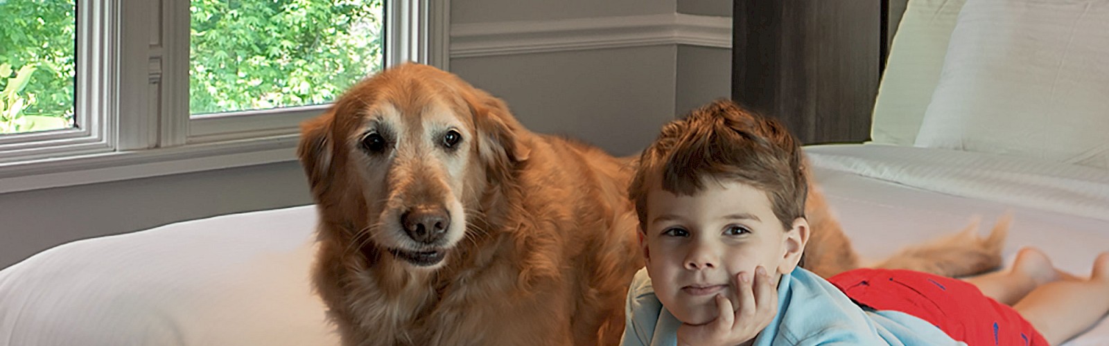 A boy and a dog are lying on a bed in a bright room with large windows and green trees outside.