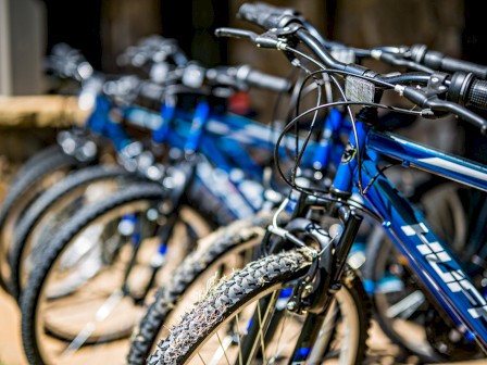 Lanier Islands Resort