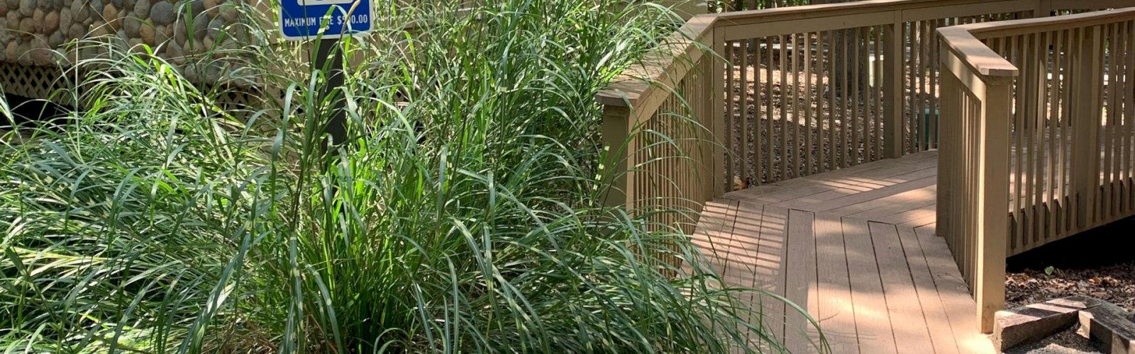 This image shows a wooden ramp leading to a building with a nearby sign indicating accessible parking with a wheelchair symbol, surrounded by plants.