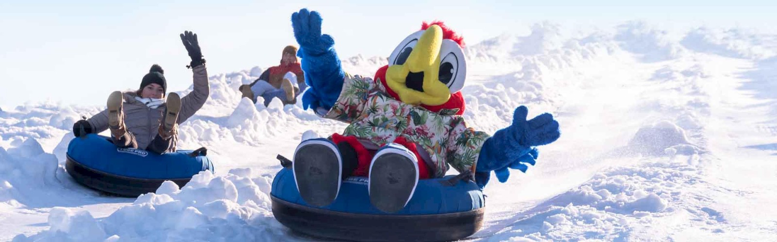 Three individuals, including one in a bird mascot costume, are tubing down a snow-covered hill, raising their arms in enjoyment in the image.