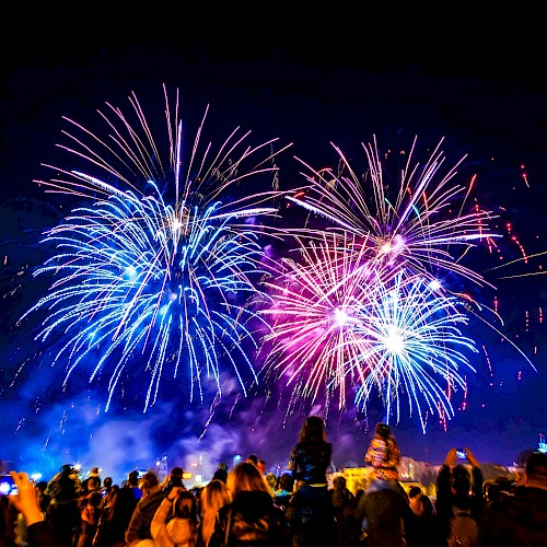 A crowd watches vibrant blue and pink fireworks bursting in the night sky.