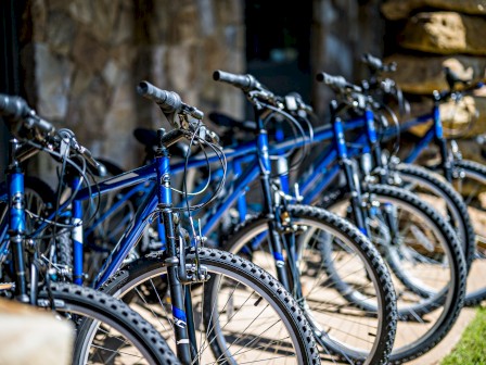 Multiple blue mountain bikes are lined up outside near a stone wall, ready for riders to use for outdoor adventures.