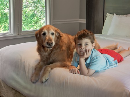 A boy and a golden retriever lay on a bed together, looking relaxed and content in a bright, cozy room.