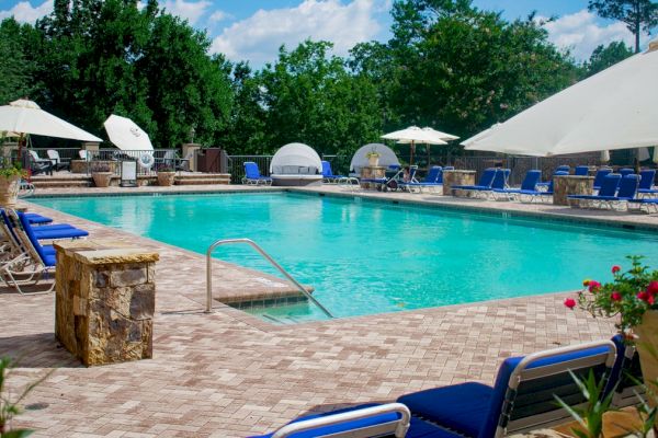 Outdoor pool area with lounge chairs, large umbrellas, plants, and trees in the background on a sunny day.
