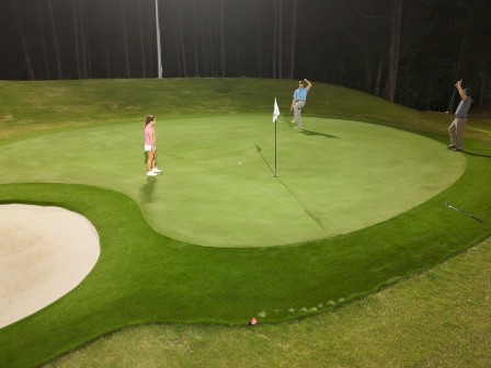 People playing golf on a green, with one girl near the hole and two men celebrating a putt, during dusk or night.
