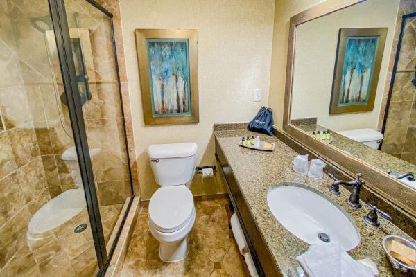 A bathroom with a shower stall, toilet, large mirror, basin with countertop, toiletries, and wall art depicting trees ending the sentence.
