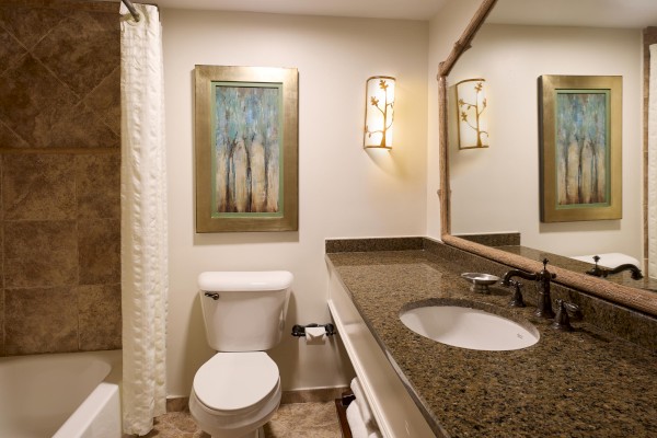 A bathroom with a granite countertop, sink, toilet, and bathtub, decorated with artwork and a wall sconce light fixture.