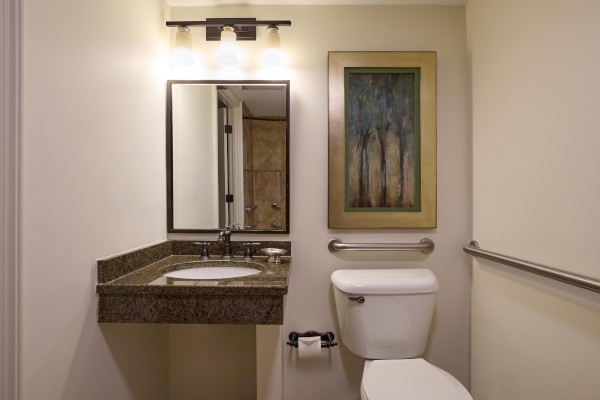 A small bathroom with a granite countertop sink, a framed mirror, a toilet, grab bars on the walls, and a framed nature painting above the toilet.