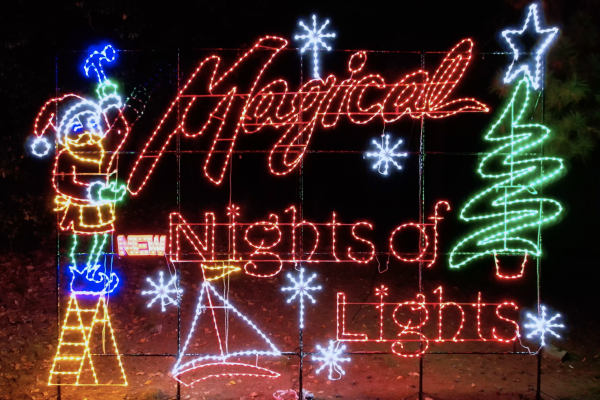 Colorful Christmas lights display reads 