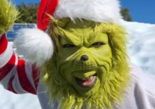 The image shows a creature with the face of the Grinch dressed in a Santa hat, smiling in a snowy outdoor scene.