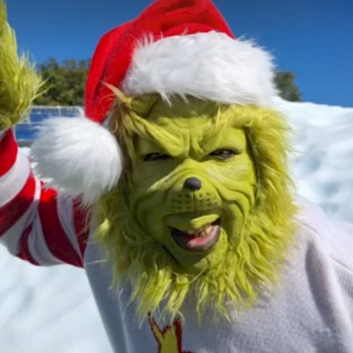 The image shows a creature with the face of the Grinch dressed in a Santa hat, smiling in a snowy outdoor scene.