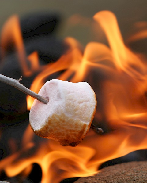 A marshmallow is being roasted over an open flame, held by a stick, perfect for making s'mores by the campfire.