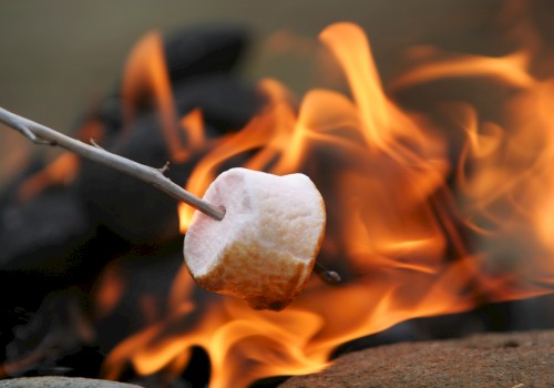 A marshmallow is being roasted over an open flame, held by a stick, perfect for making s'mores by the campfire.