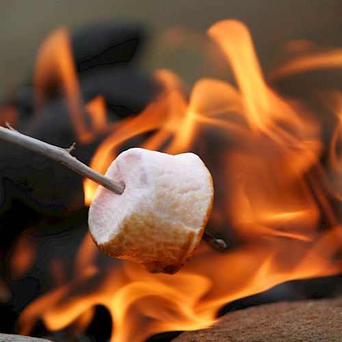 A marshmallow is being roasted over an open flame, held by a stick, perfect for making s'mores by the campfire.