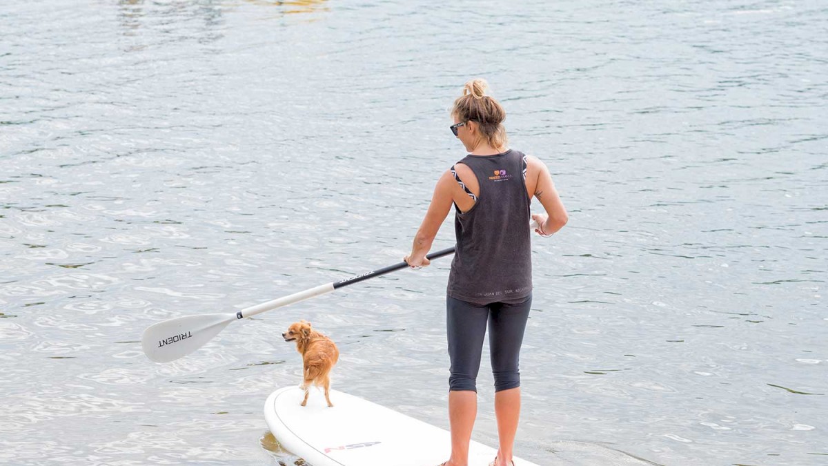 A person paddleboarding with a dog on a lake, while two others kayak nearby in a yellow kayak, enjoying the water.