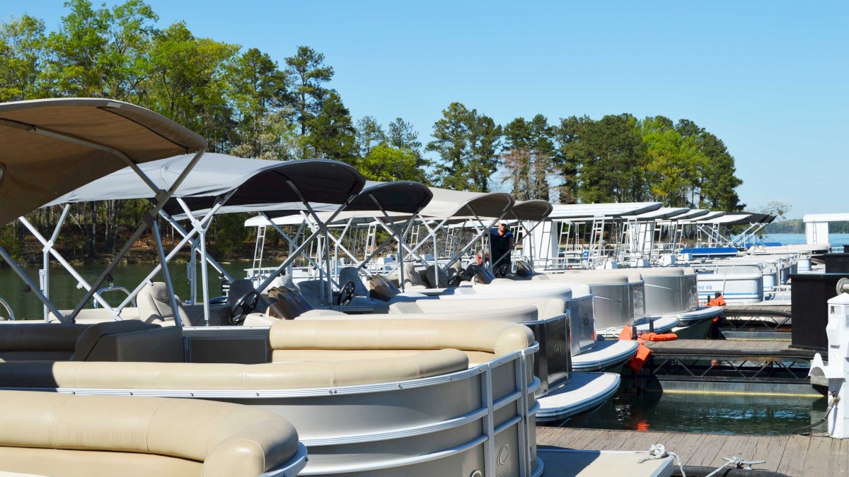 A row of pontoon boats docked at a marina, surrounded by trees under a clear blue sky.