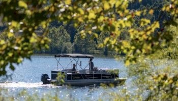 A pontoon boat on a lake is seen through branches with green leaves, surrounded by a forested area.