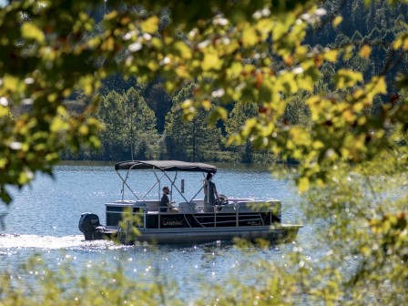 A boat with people on board moves across a lake, framed by green foliage and trees in the foreground and background, under bright daylight.