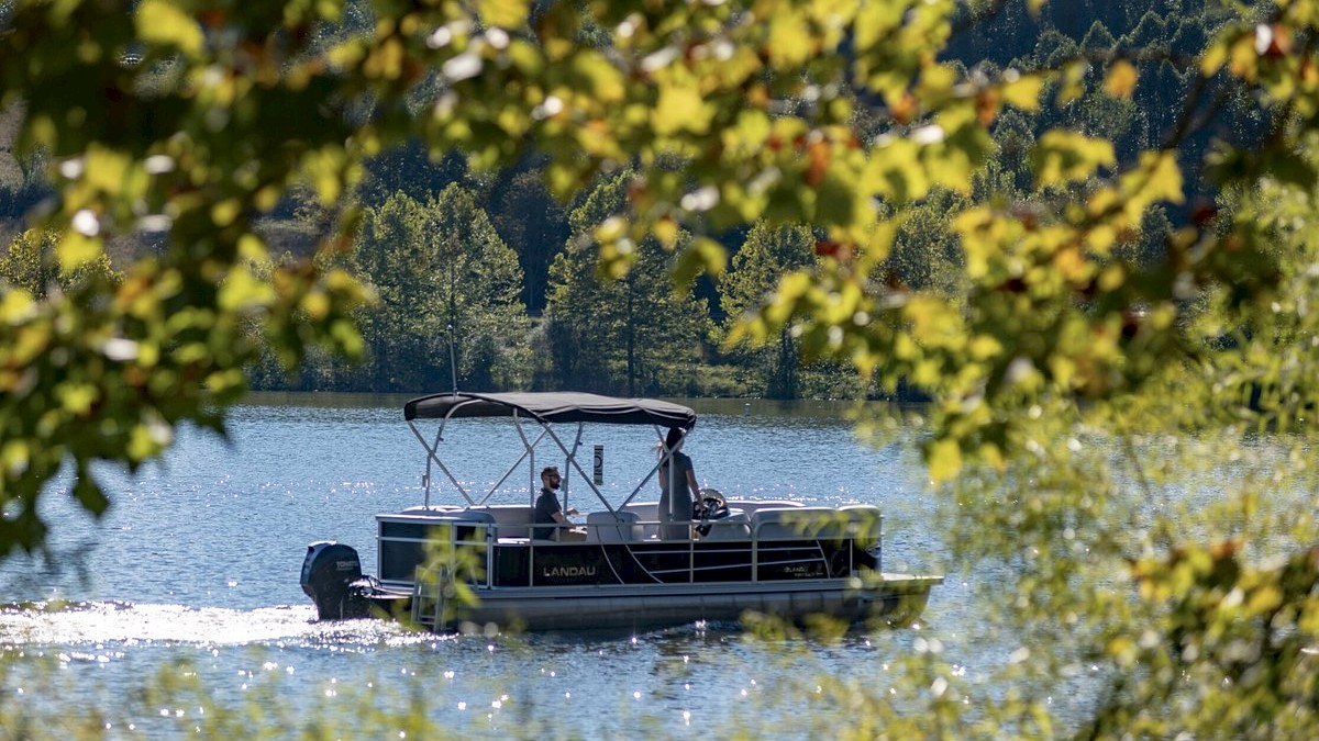 A pontoon boat with passengers glides on a sunny lake, framed by lush green foliage and a backdrop of forested hills.
