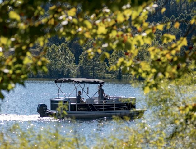A boat with a canopy is cruising on a lake, partially obscured by leaves and branches in the foreground, with a forested background.